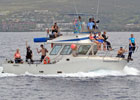 guided boat dive