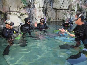 Instructor Development Courses