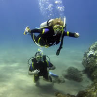 Open Water Diver