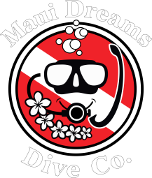 MDDC New Official Logo white Lettering.png