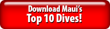 Download Maui's Top 10 Dives!