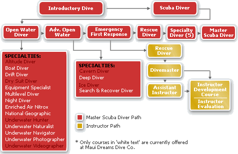 Padi Qualifications Chart